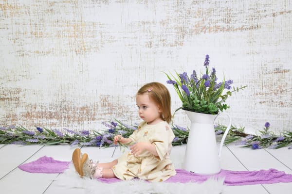 Daycare photography Montreal